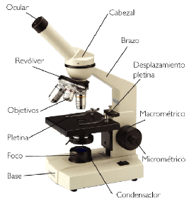 que es el microscopio feature